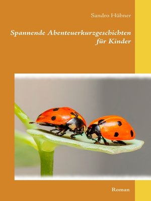 cover image of Spannende Abenteuerkurzgeschichten für Kinder